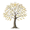 Family Reunion Tree With Names On Leaves In Vintage Style No #2354 | Free PNG Download