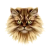 Long Fluffy Cat Fur #3600 | Free PNG Download