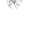White Sketch Line Art PNG Download