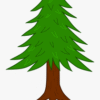 Clip Art Woody Plant Christmas Tree PNG Download