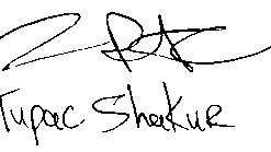 White Night Signature PNG Download