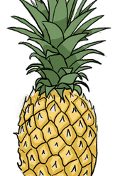 Pineapples Pineapple Natural Foods PNG Download