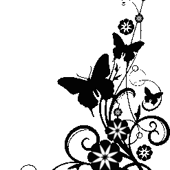 Night Star Darkness PNG Download