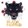Black Panther With Retro 70s Typography Boho Floral #3664 | Free PNG Download