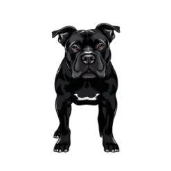 Black Pitbull Dog #4933 | Free PNG Download