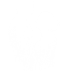 White Love Monochrome Photography PNG Download