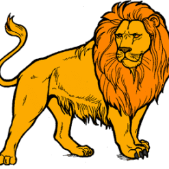 Lion Yellow Felidae PNG Download
