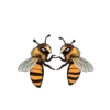 Hand Drawn Hornets Surrounded By Cute Doodles Like Hearts #4868 | Free PNG Download