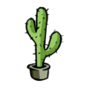 Saguaro Cactus Thorns, Spines, And Prickles PNG Download
