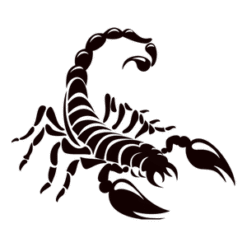 Darkness Night Scorpion PNG Download