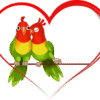 Red Bird Heart PNG Download