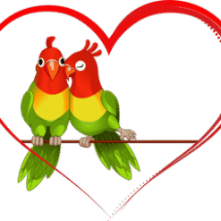 Red Bird Heart PNG Download