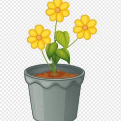 Flower Yellow Petal PNG Download
