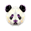 Snout Graphics Graphic Design PNG Download