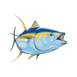 Fish Fin True Tunas PNG Download