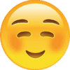 Happiness Smile Emoticon PNG Download