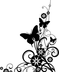 Night Star Astronomical Object PNG Download