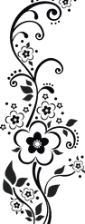 Black Darkness Night PNG Download