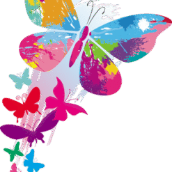 Pollinator Butterfly Insect PNG Download