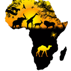 Terrestrial Animal Graphics Savanna PNG Download
