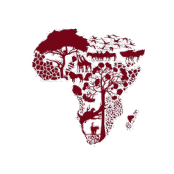 Graphics Map Graphic Design PNG Download