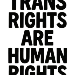 Trans Rights Typography #2128 | Free PNG Download